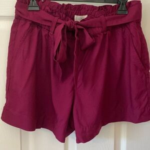 Loft outlet shorts